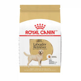 Labrador Retriever Adult Dry Dog Food