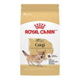Corgi Adult Dry Dog Food