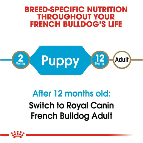 French Bulldog Puppy Dry Dog Food