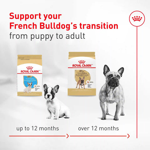 French Bulldog Loaf In Sauce Canned Dog Food