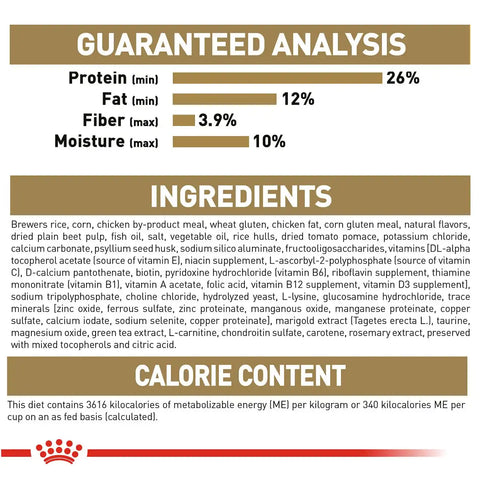 Dachshund 8+ Adult Dry Dog Food
