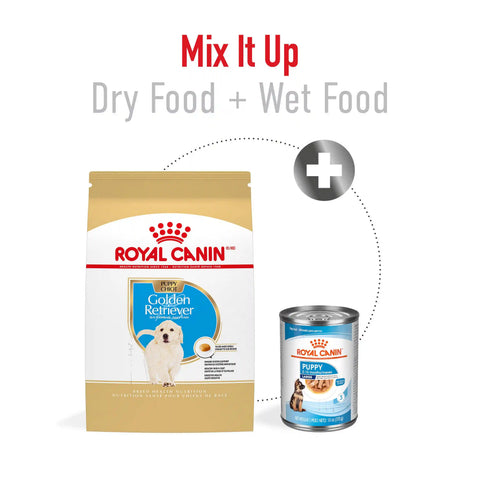 Golden Retriever Puppy Dry Dog Food