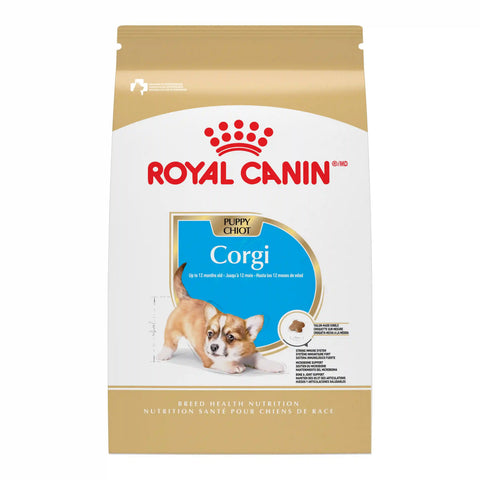 Corgi Puppy Dry Dog Food