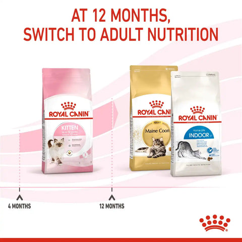 Kitten Dry Cat Food