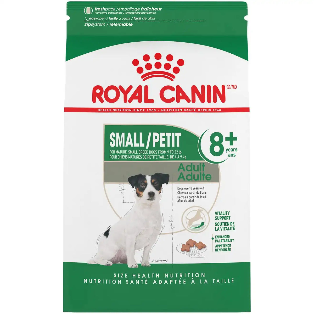 Small Adult 8+ Dry