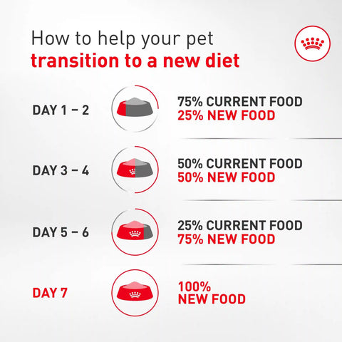 Corgi Adult Dry Dog Food