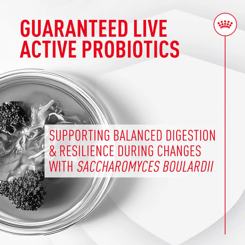 Probiotics for Dogs Digestive and Immune Health Powder Supplement