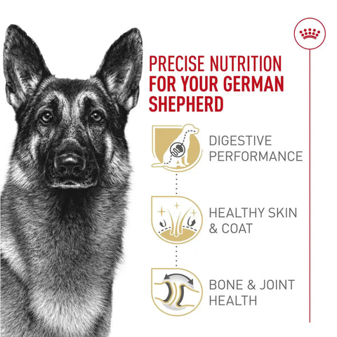 German Shepherd Adult Dry Dog Food
