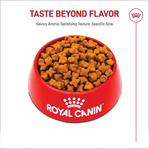 German Shepherd Adult Dry Dog Food