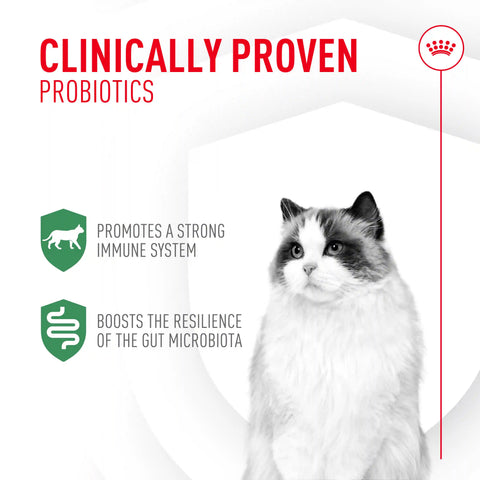 Probiotics for Cats Digestive and Immune Health Powder Supplement