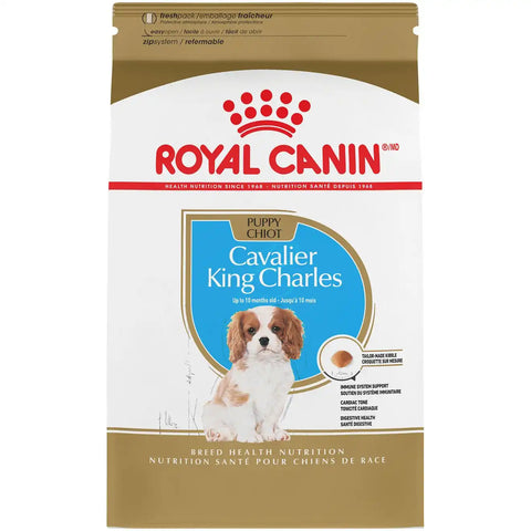 Cavalier King Charles Puppy Dry Dog Food