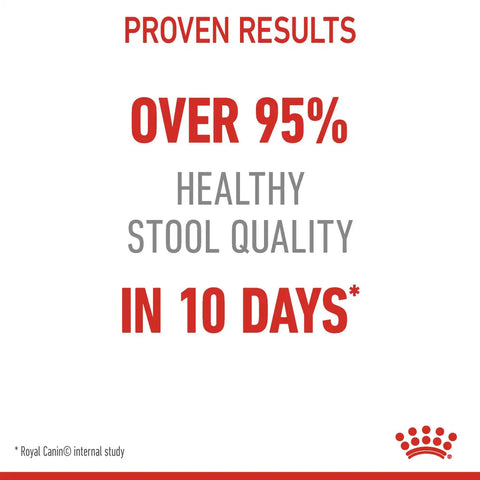 Digestive Care Dry Cat Food