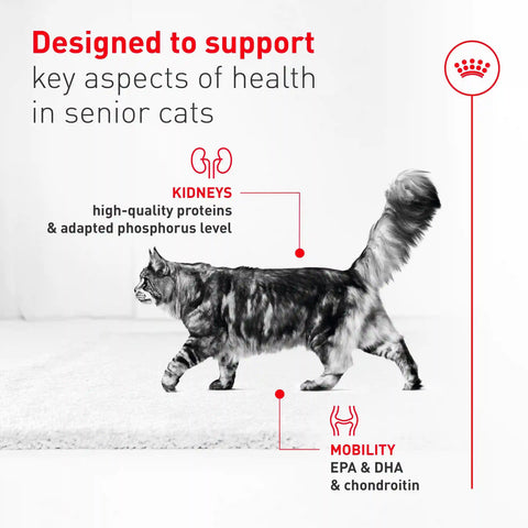 Royal Canin Feline Health Nutrition Aging 11+