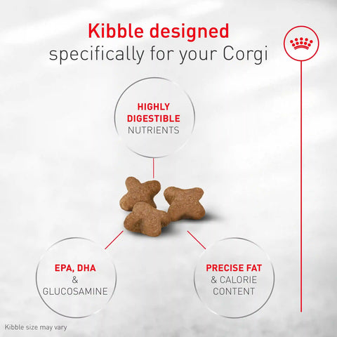 Corgi Adult Dry Dog Food