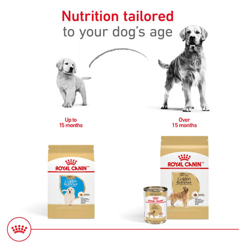 Golden Retriever Puppy Dry Dog Food