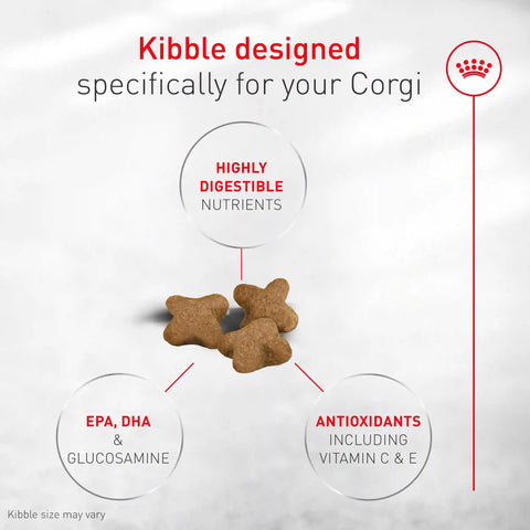 Corgi Puppy Dry Dog Food