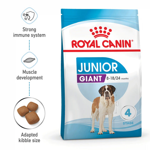 Giant Junior Dry