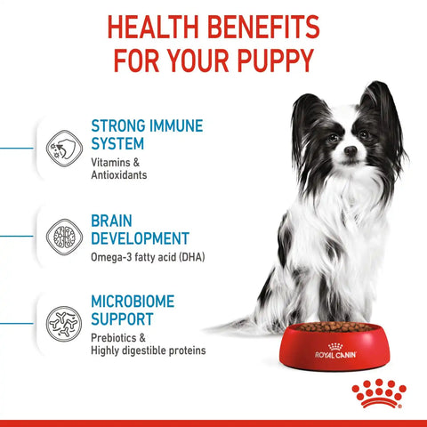 X-Small Puppy Dry Dog Food