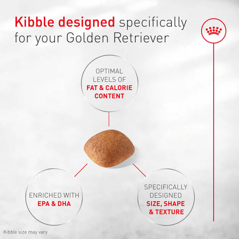Golden Retriever Adult Dry Dog Food