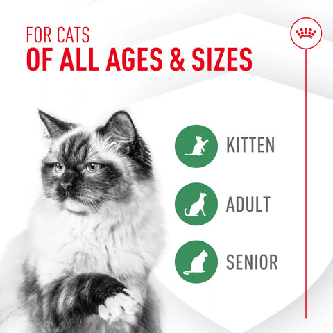 Probiotics for Cats Digestive and Immune Health Powder Supplement