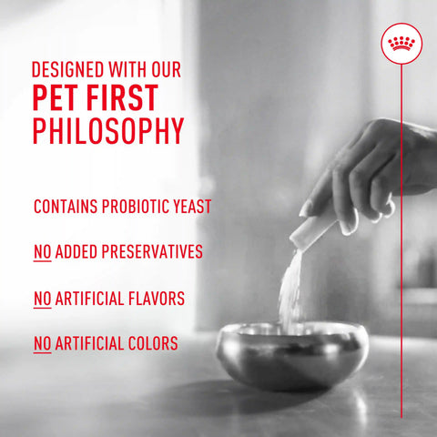 Probiotics for Dogs Digestive and Immune Health Powder Supplement