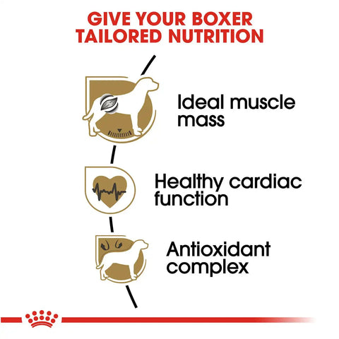 Boxer Adult Dry Dog Food