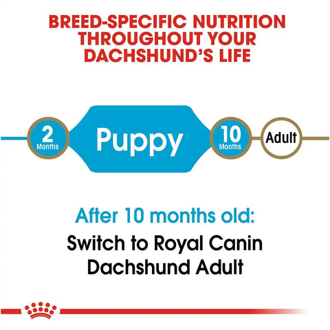 Dachshund Puppy Dry Dog Food