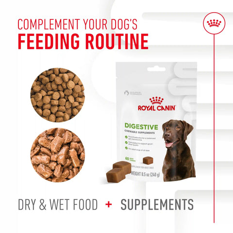 Digestive Supplement Soft Chews for Adult Dogs
