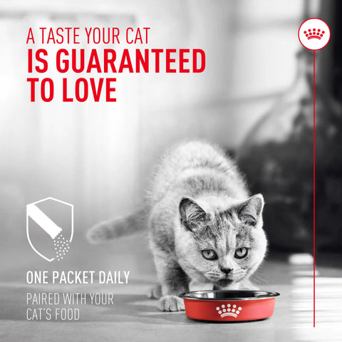 Probiotics for Cats Digestive and Immune Health Powder Supplement