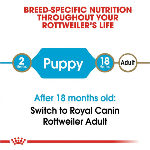 Rottweiler Puppy Dry Dog Food
