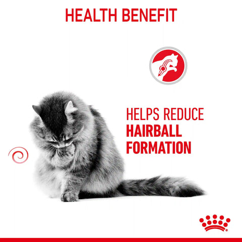 Hairball Care Dry Cat Food