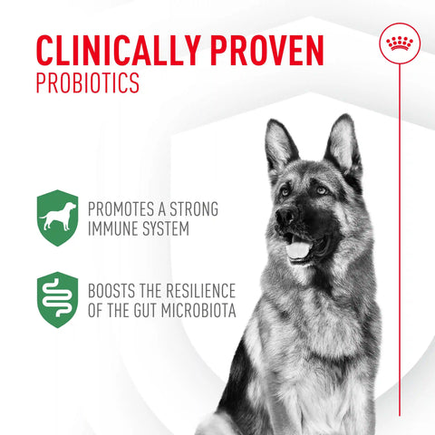 Probiotics for Dogs Digestive and Immune Health Powder Supplement