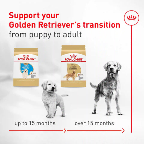 Golden Retriever Adult Dry Dog Food