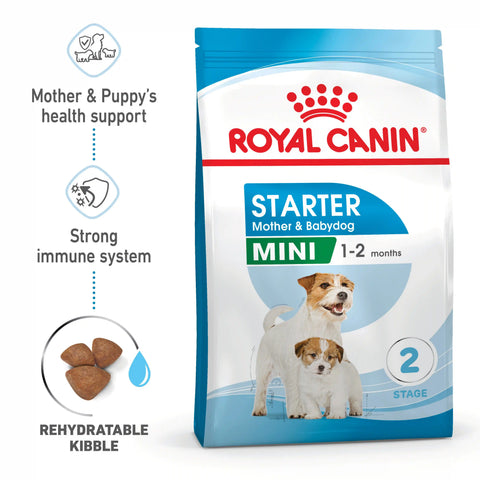 Small Starter Mother & Babydog