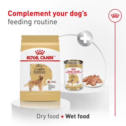 Golden Retriever Adult Dry Dog Food