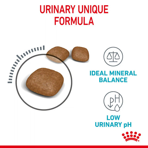 Urinary Care Dry Cat Food
