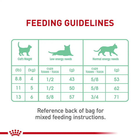Digestive Care Dry Cat Food