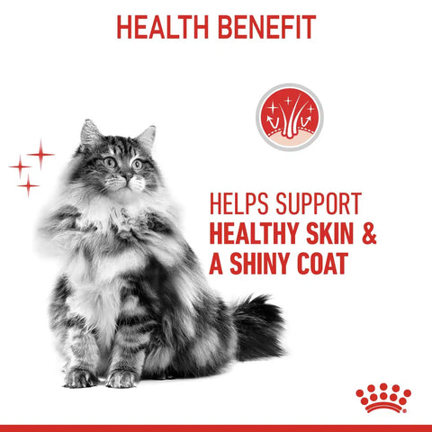 Hair & Skin Care Dry Cat Food