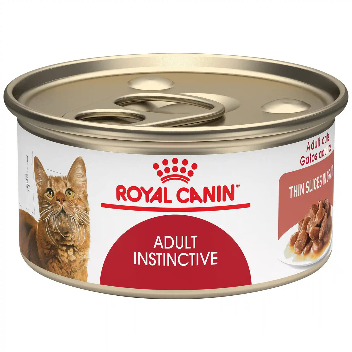 Adult Instinctive Thin Slices in Gravy