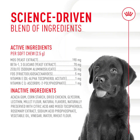 Immunity Digestion Chews (Puppy)