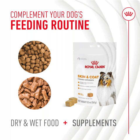 Skin & Coat Supplement Soft Chews for Adult Dogs