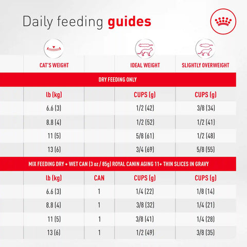 Royal Canin Feline Health Nutrition Aging 11+