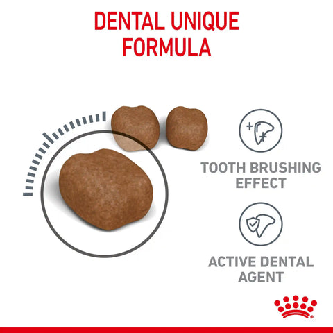 Dental Care Dry Cat Food