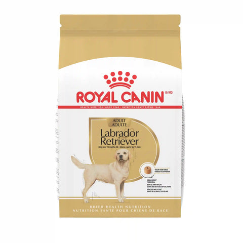 Labrador Retriever Adult Dry Dog Food