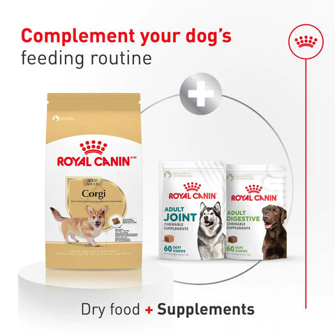 Corgi Adult Dry Dog Food
