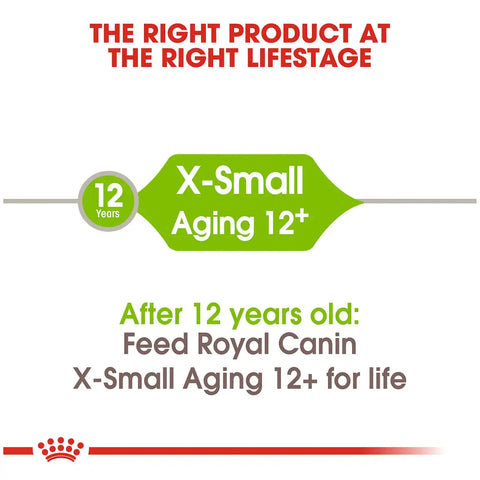 X-Small Aging 12+