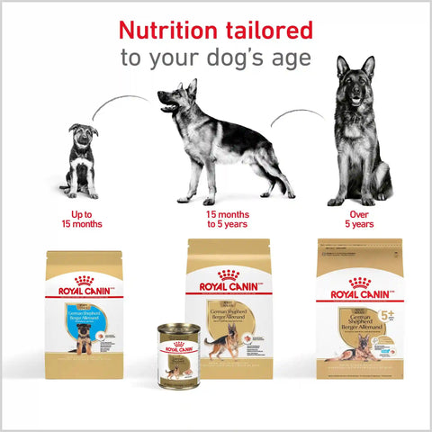 German Shepherd Adult Dry Dog Food