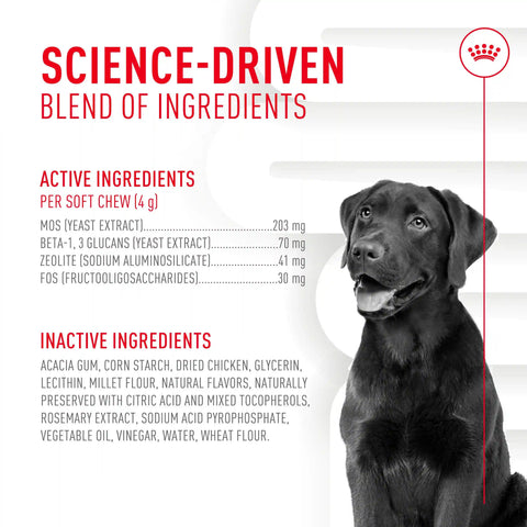 Digestive Supplement Soft Chews for Adult Dogs