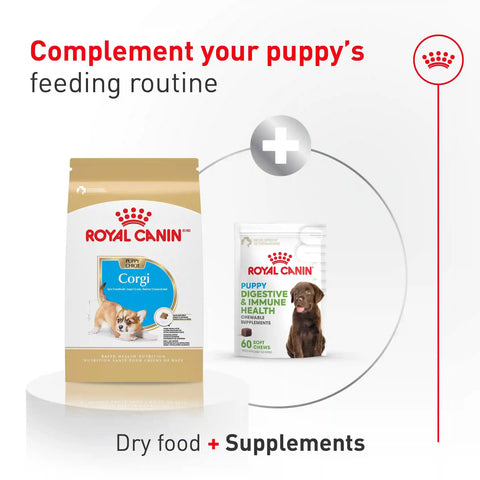 Corgi Puppy Dry Dog Food