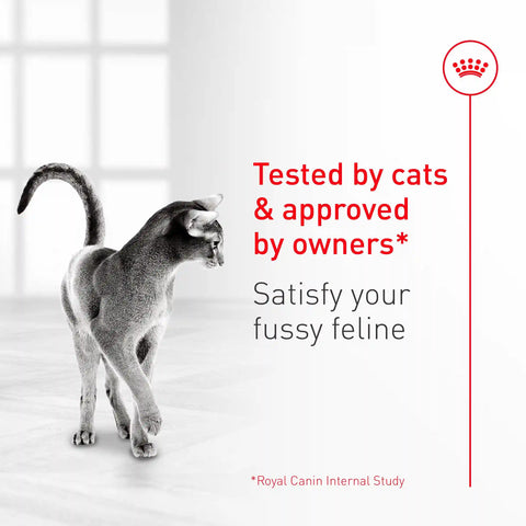 Fussy Adult Dry Cat Food